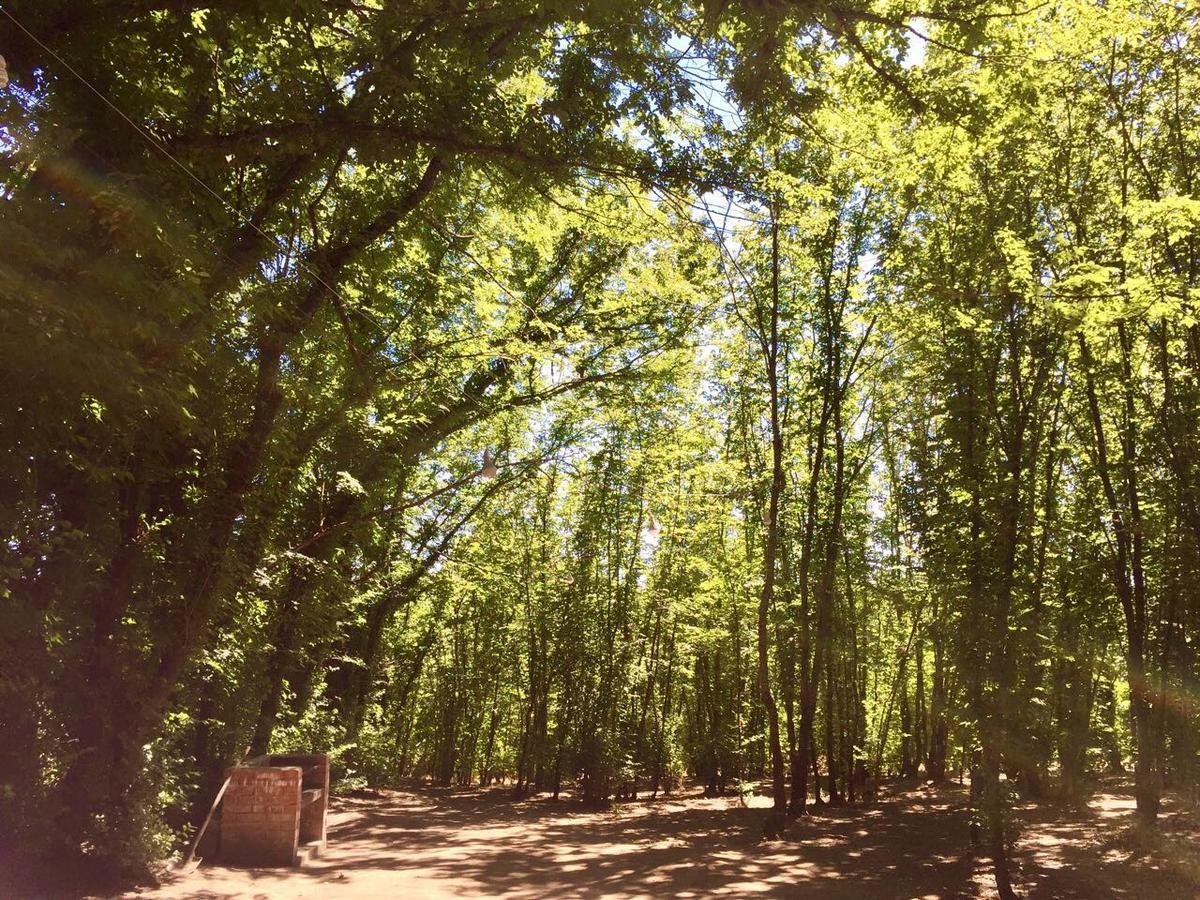 Quinta El Rosal * Parral